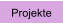 Projekte